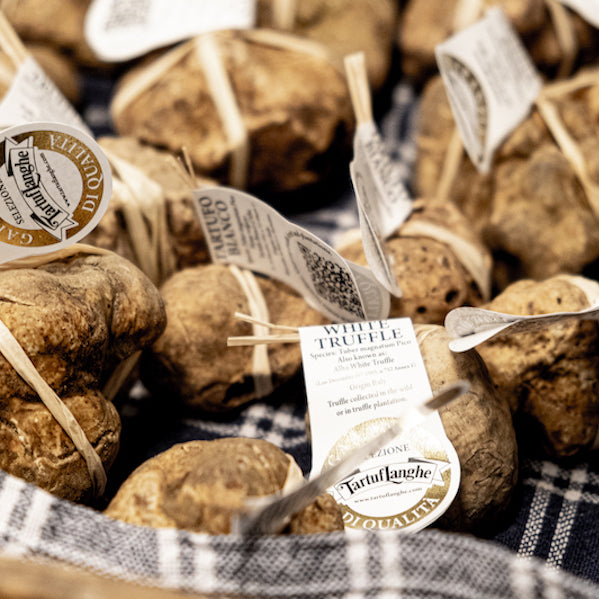 Tartuflanghe, il Tartufo è POP - 12 febbraio 2021