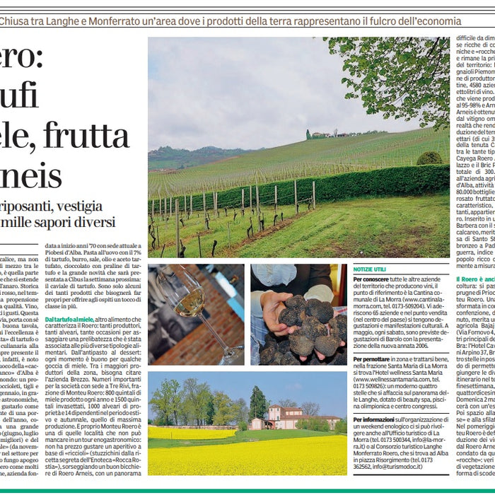 Gazzetta di Parma - 28 aprile 2010