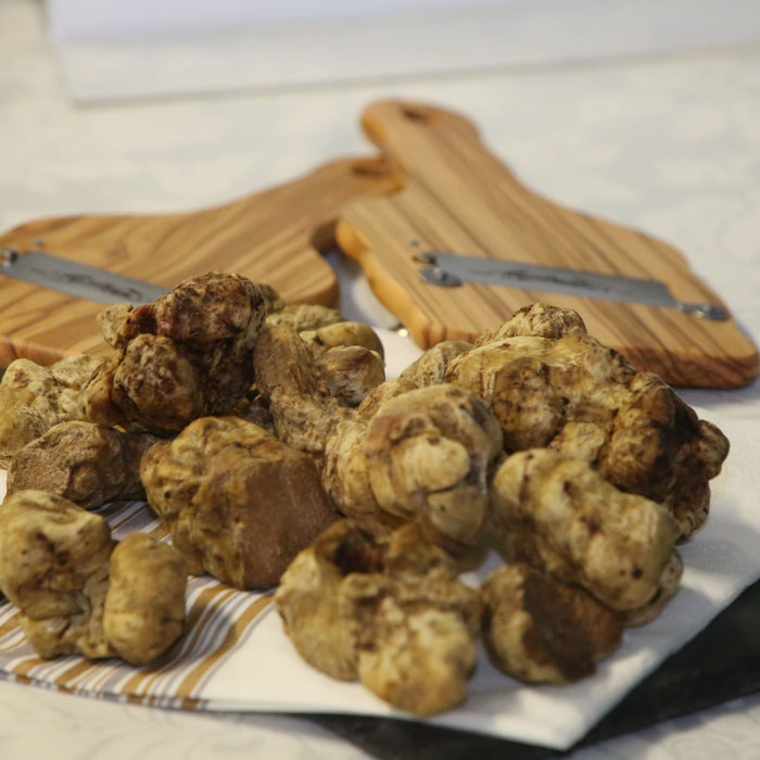 Tvthek.orf.at - Il Tartufo Bianco del Piemonte - Novembre 2021