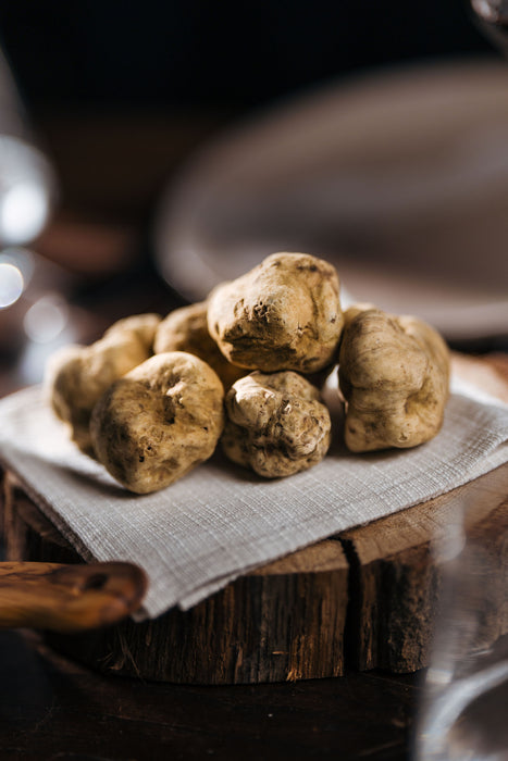 Tartufo Bianco d'Alba - Tuber magnatum Pico 30g