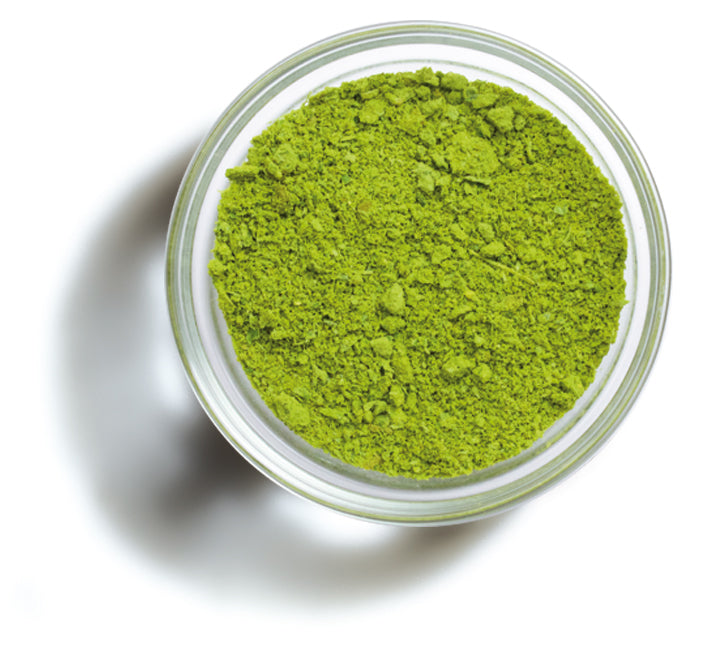 PESTO powder 40g