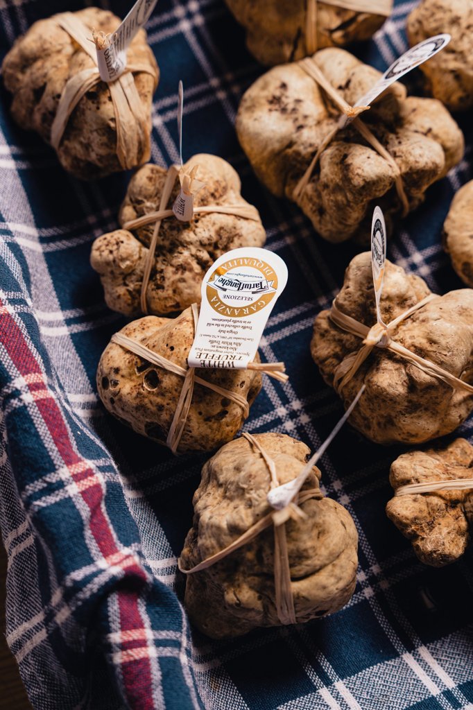 Tartufo Fresco
