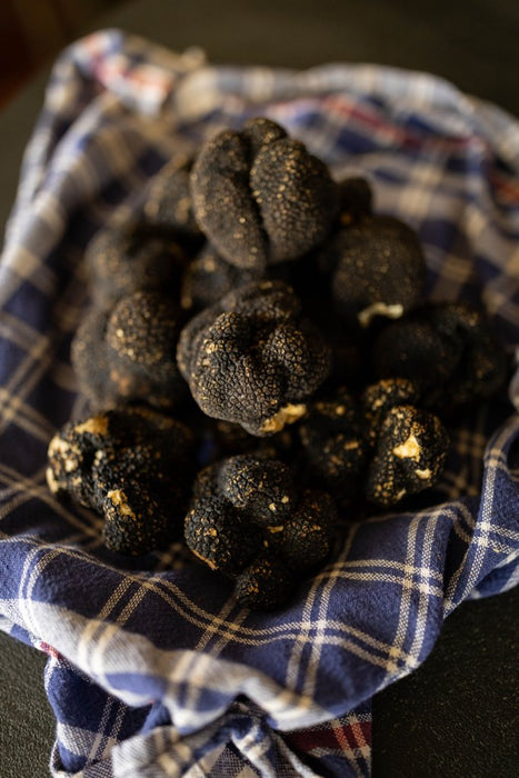 Black Summer Truffle - Tuber aestivum Vitt. 100g